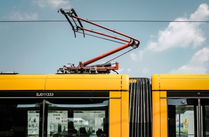 来日方长，在美丽旧世界“浪费”时光