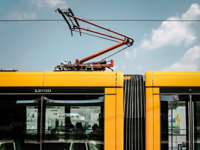 来日方长，在美丽旧世界“浪费”时光